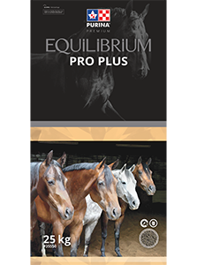 Equilibrium Pro Plus
